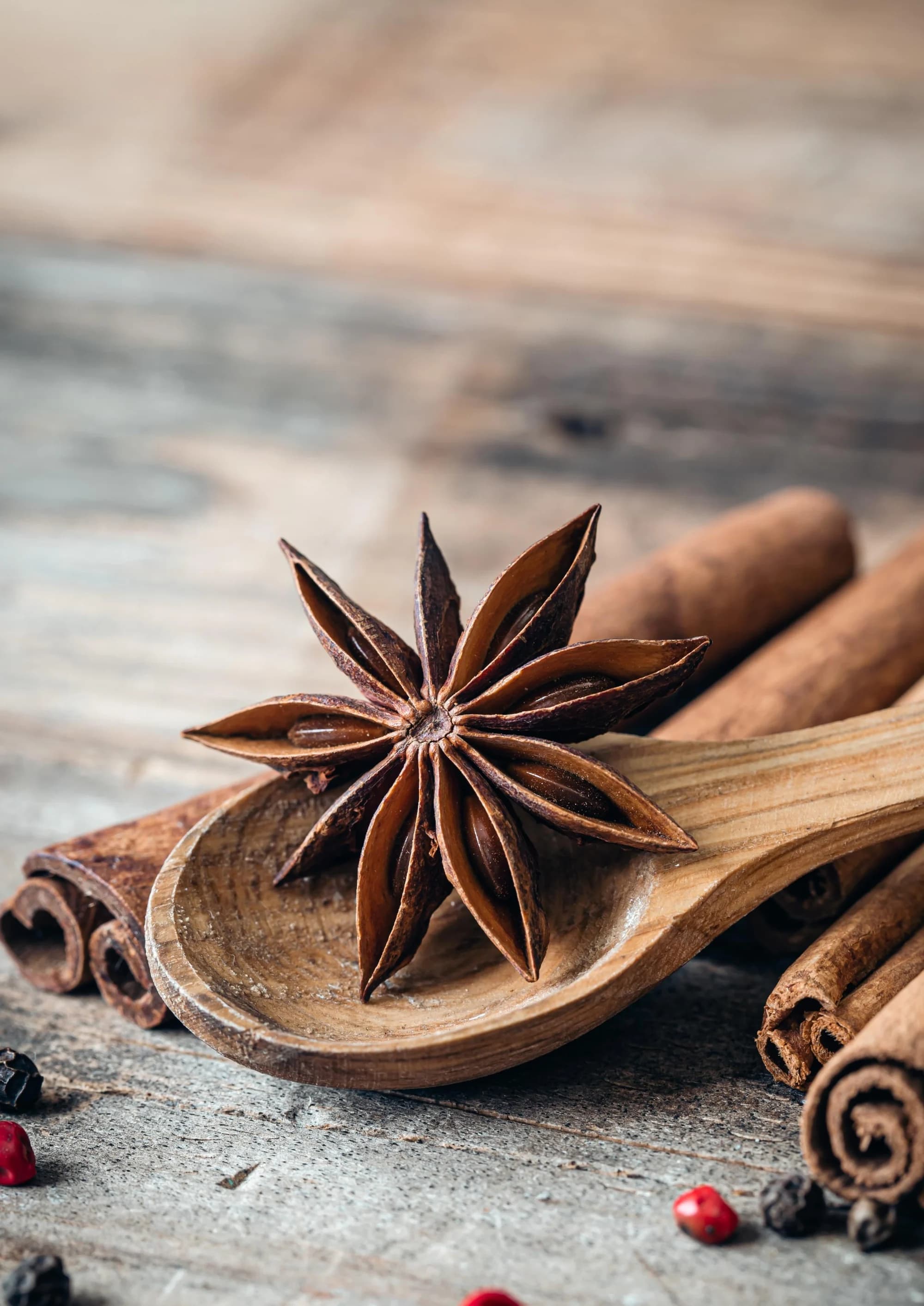 Star anise on a wooden spoon with cinnamon sticks